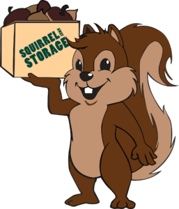 Just The Squirrel PNG File